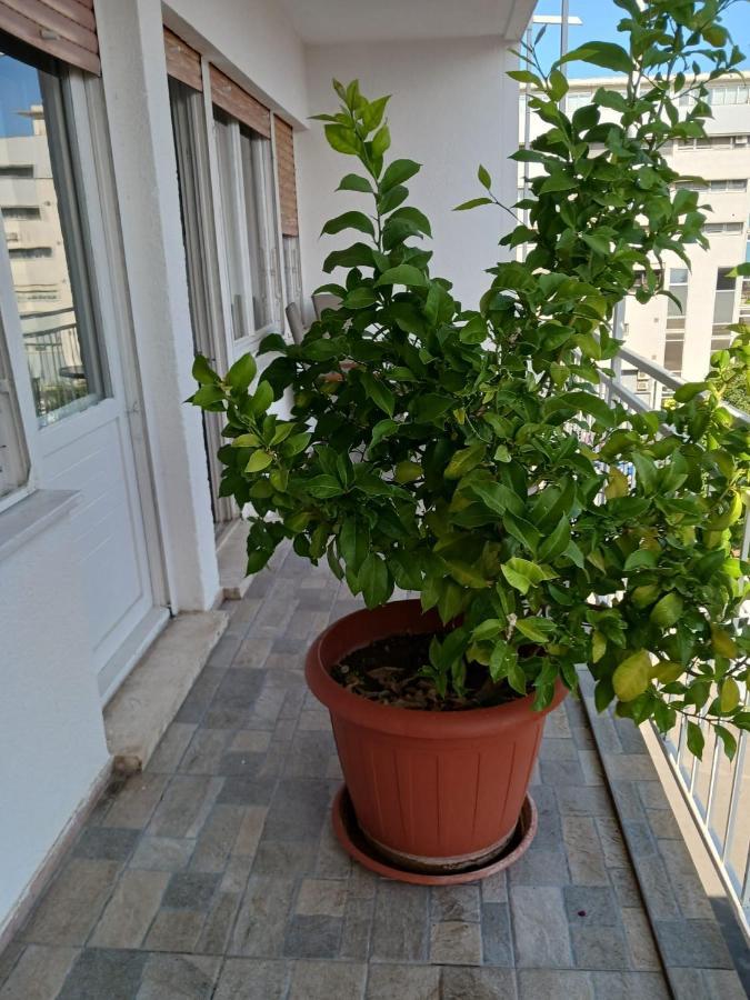 With Private Toilet And Balcony In Center In Shared Apartment Split